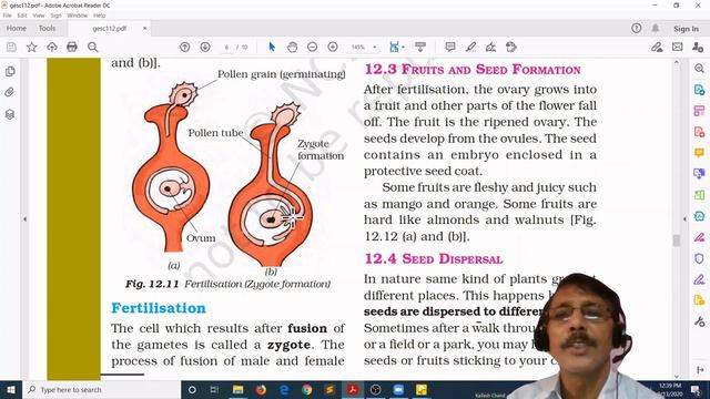 NCERT Class-7 Science Chapter-12 "Reproduction in Plants" (Part-2) смотреть онлайн