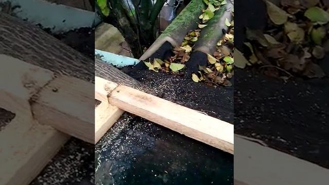 Самая дешевая крыша.