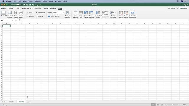 Excel for Mac: Excel Worksheet Basics