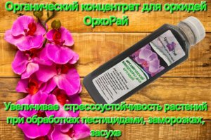 Парнем поставку на WB с удобрением ОрхоРай