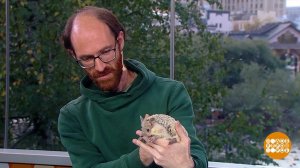 Филипп Тумасьян и ушастая ежиха Иголочка. Доброе утро. Фрагмент выпуска от 04.10.2023