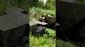 Каракат в болоте