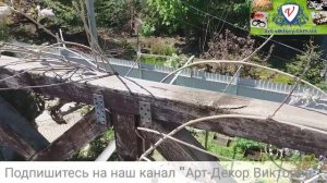 Как бороться с осами! Дача и осы!! Укус осы. Как избавиться от ос? Осы и пчёлы. Простой способ.WD-4