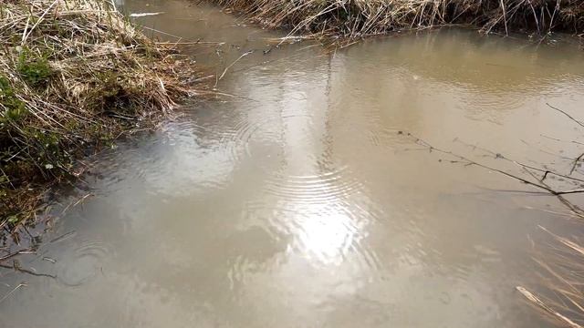 Влог! На даче хорошо, но холодно! Собираем вещи смотреть онлайн