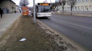 Автобус маз 103 номер 7