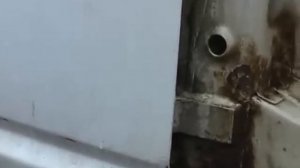 Почему гниют передние крылья VW T4 Why are rotting front fenders VW T4
