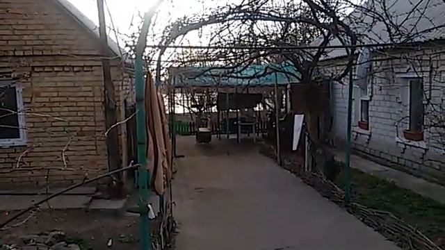 Санек и двор. Звуки птиц.22 марта 2016 г. смотреть онлайн