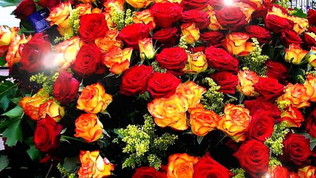 С Днем рождения, Эллочка! смотреть онлайн