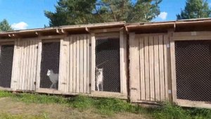 Будни питомника Урал