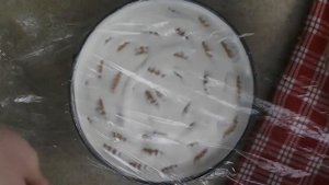 Торт Без Выпечки Из Печенья. Сочный, Мягкий, Вкусный Торт Без Выпечки.