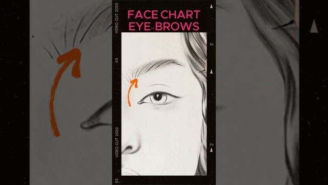 Easy Face Chart Tutorial for beginners | Face Chart Makeup eye brows #facechart смотреть онлайн
