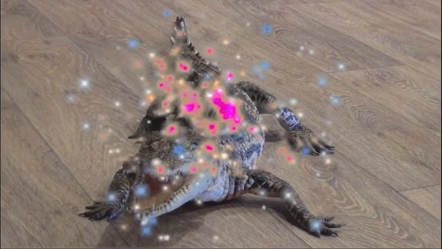 Цирк зверей и лилипутов 2017-2018 смотреть онлайн