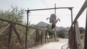 Выпускная работа с курса по постпродакшну от агентства Хохлов Сабатовский