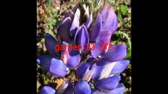 23. Lovely Fresh Garden смотреть онлайн