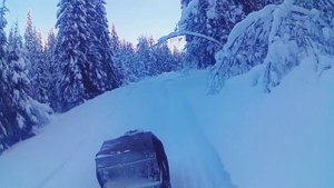 МОТОСОБАКА  РАЙДА 6.5 ЛОШАДОК ХОНДА