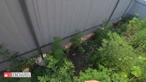 Обзор домов в 6 и 50 секторах Южной столицы Краснодара