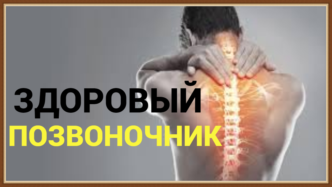 ПОЗВОНОЧНИК ЧЕЛОВЕКА
