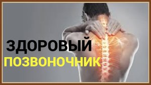 ПОЗВОНОЧНИК ЧЕЛОВЕКА
