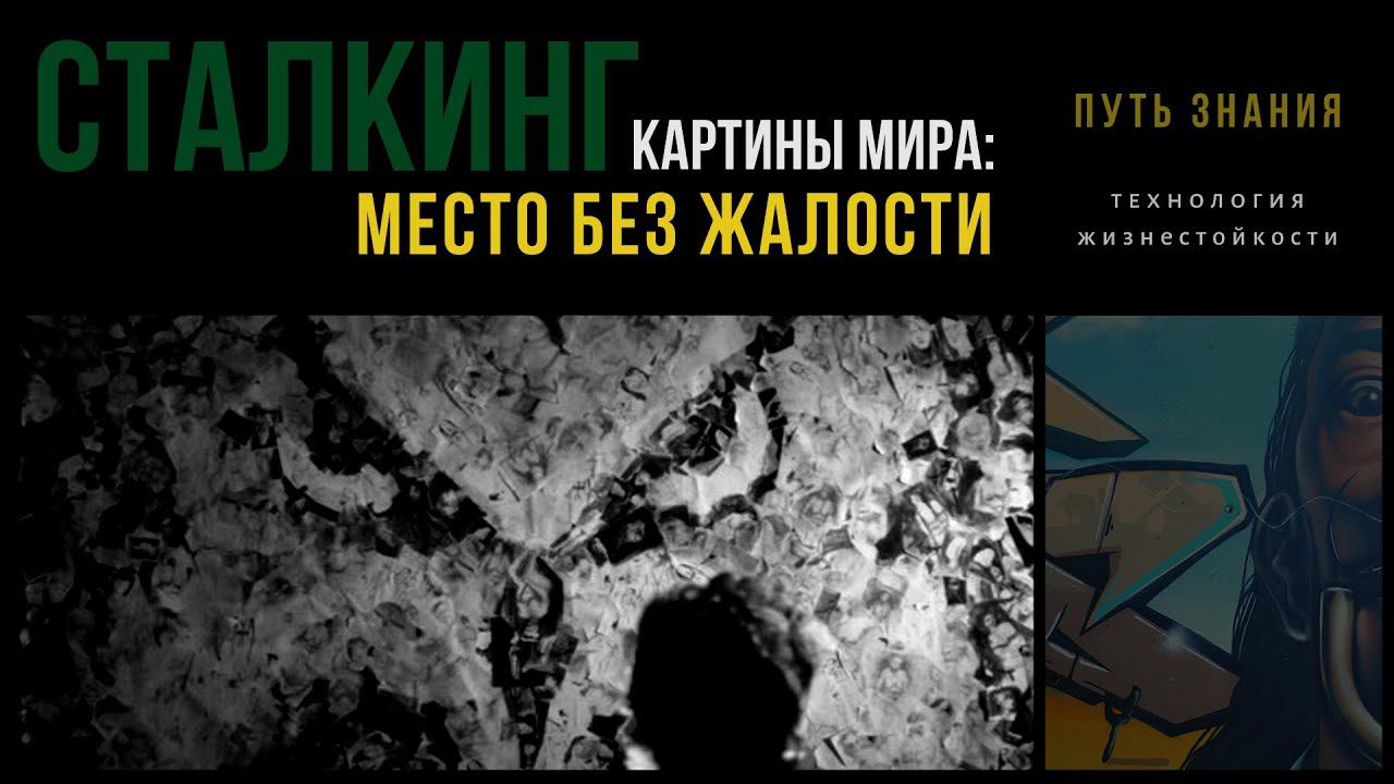 Место без жалости | СТАЛКИНГ