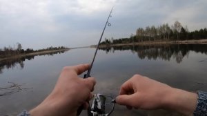 КАК поймать ПЛОТВУ на СПИННИНГ в ЗАПРЕТ