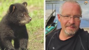 Плачущий медведь приносит к этому человеку своего умирающего детеныша и происходит нечто невероятно