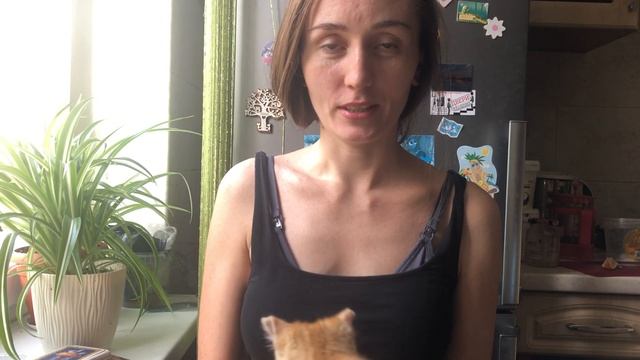 Откровение Фрейи. Люди-сосуды богов и сущностей.Жизненный путь.Изучение нумерологии,астрологии,маги смотреть онлайн