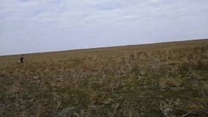 Коп в Астраханских степях