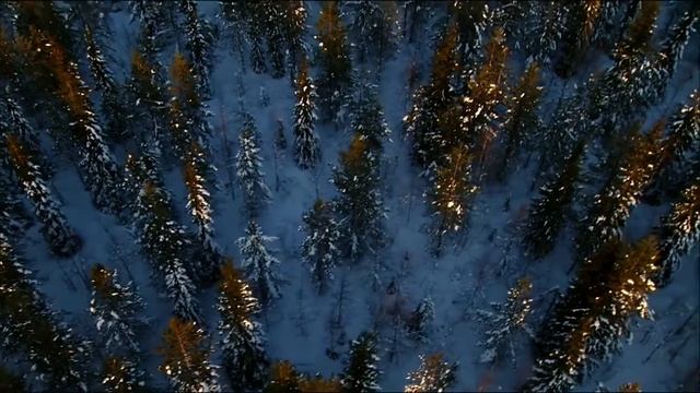 "Мысли глобально, действуй локально". Год экологии. Пермский край. смотреть онлайн