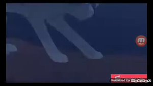 озвучка котов воителей.
