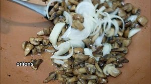 Курица с Грибами в Сметанном Соусе. Рецепт Димы Кулинахера. Chicken with Creamy Mushrooms. Eng Sub.