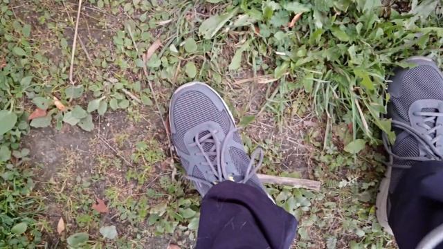 Видеоблог - Коты и кошки / Знакомые котики / Животные / Cats смотреть онлайн