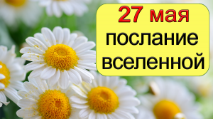 ПОСЛАНИЕ ВСЕЛЕННОЙ на 27 мая.