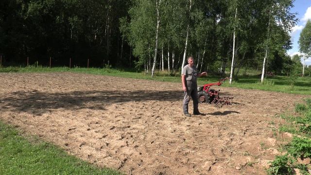 Правильный способ посадки сидератов. Культиватор борона  КБ-00.000. МТЗ с Weima WM188F 13л/с. смотреть онлайн
