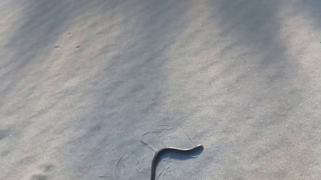 Кто-то еще окромя рыП.