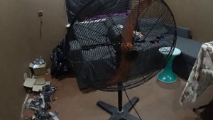 ВЕНТИЛЯЦИЯ ДЛЯ ФЕРМЫ???ОБЗОР ВЕНТИЛЯТОРА Wild Wind DT-IFS3405B