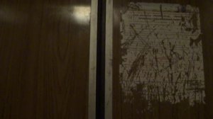 Электрический лифт (поселок Лесной городок), V=0,71 м-с, г-п 320 кг