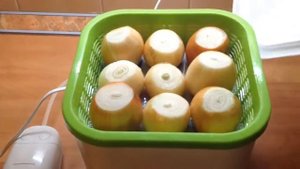 Домашняя ГИДРОПОНИКА. ВЫГОНКА ЛУКА. Январь 2017. Homemade HYDROPONICS. DISTILLATION OF ONIONS.