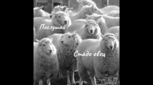 Послушай -  Стадо овец. Притча.