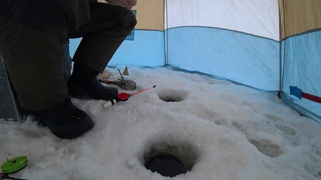ЗИМНЯЯ РЫБАЛКА НА МОРМЫШКУ НА СЛИЯНИЕ РЕКИ РУШ И НИЖНЕТАГИЛЬСКОГО ПРУДА! РЫБАЛКА НА УРАЛЕ!