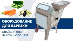 Слайсер овощерезка VOLTEK SH-100C(1)