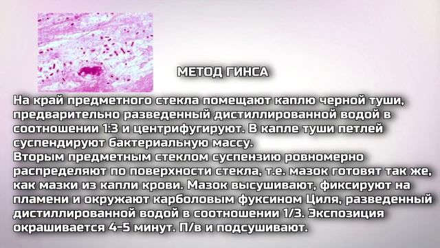 Окраска бактерий с целью выявления споровых капсул смотреть онлайн