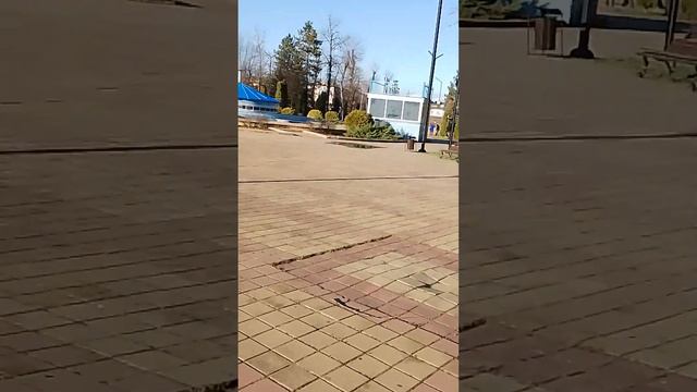 Майкоп, 1-й день знакомства с ним... Горсад... 28 декабря 2023 ... #моипутешествия