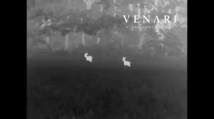 Guide IR TrackIR 35mm Wärmebildkamera Venari Jagd