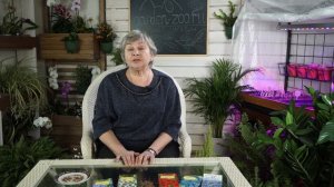 Семена Льна Польза и Вред  ? Льняное Масло ? Советы от garden - zoo