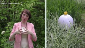 био-4-вопрос