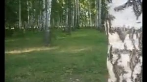 прикол на би джиз