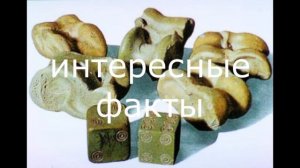 История ИГРАЛЬНЫХ КОСТЕЙ