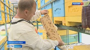 Фацелиевый мёд