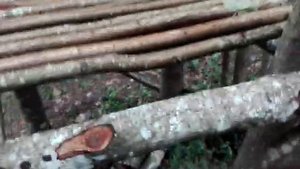 Охотничья вышка засидка в лесу из подручных средств