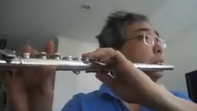 Mozart - Don Giovanni - 16. Duet - La ci darem la mano - Flute by Won Shik Paik смотреть онлайн